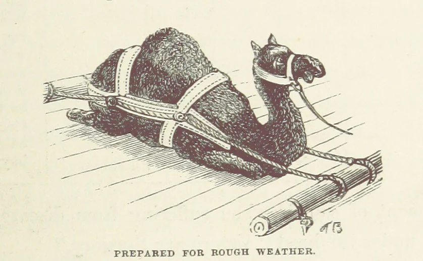 An illustration from Shifts and Expedients of Camp Life, Travels, etc, 1871, leaf 525
