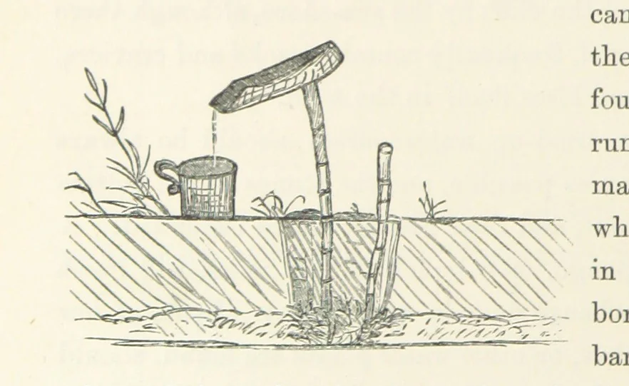 An illustration from Shifts and Expedients of Camp Life, Travels, etc, 1871, leaf 528