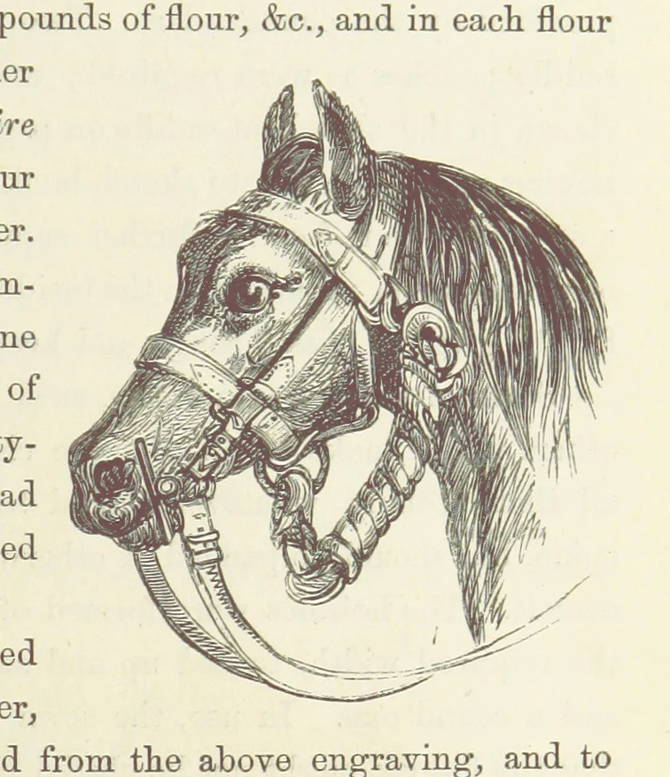 An illustration from Shifts and Expedients of Camp Life, Travels, etc, 1871, leaf 53