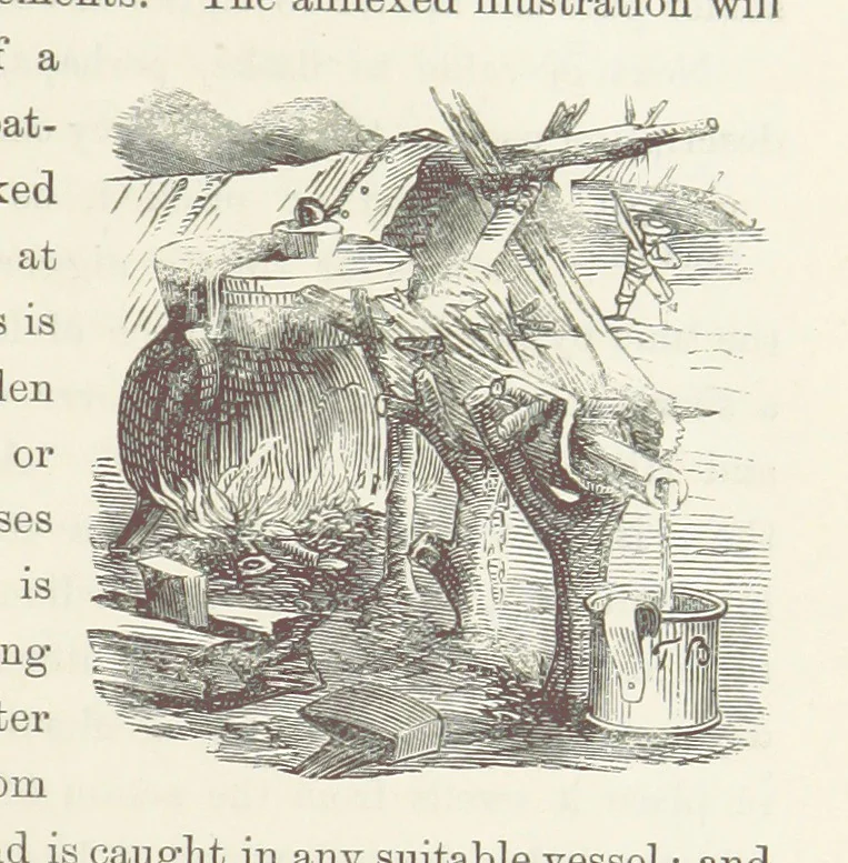An illustration from Shifts and Expedients of Camp Life, Travels, etc, 1871, leaf 531