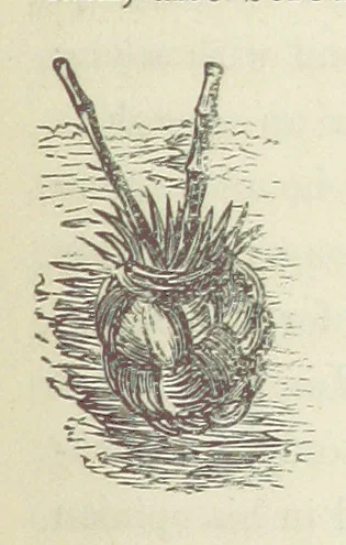 An illustration from Shifts and Expedients of Camp Life, Travels, etc, 1871, leaf 537