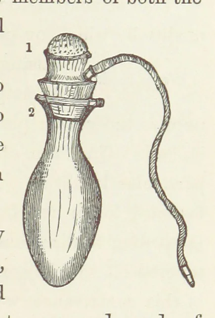An illustration from Shifts and Expedients of Camp Life, Travels, etc, 1871, leaf 543