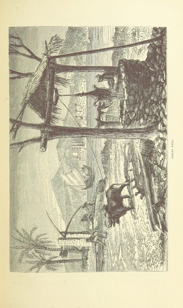 An illustration from Shifts and Expedients of Camp Life, Travels, etc, 1871, leaf 545