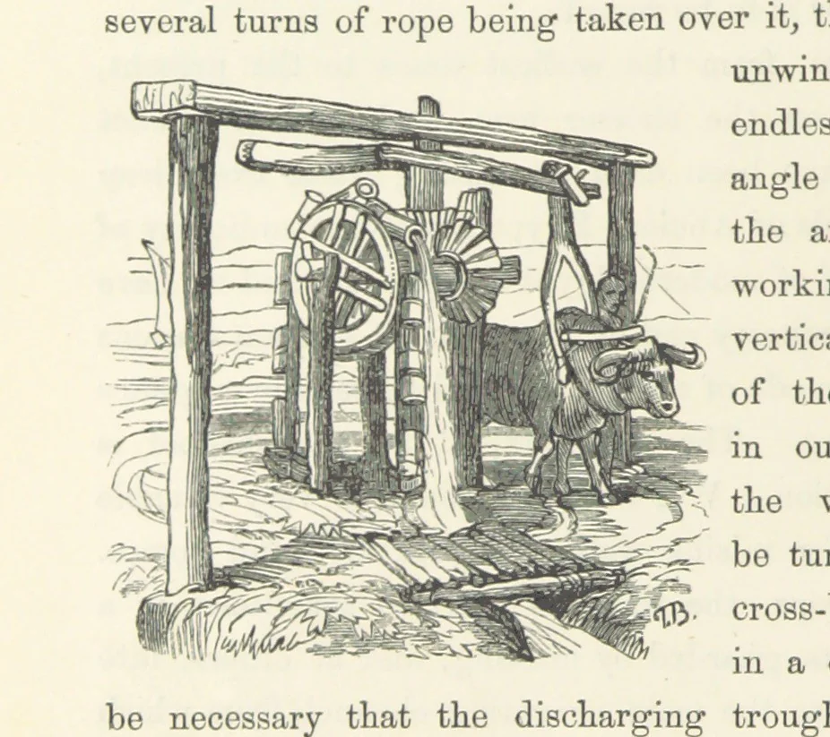 An illustration from Shifts and Expedients of Camp Life, Travels, etc, 1871, leaf 548