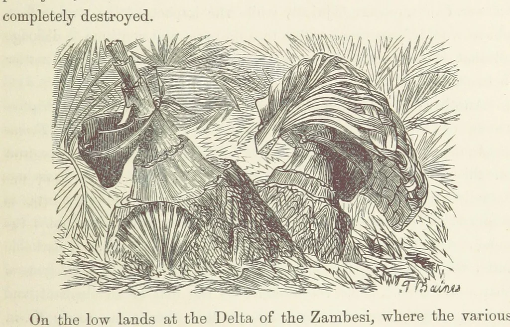 An illustration from Shifts and Expedients of Camp Life, Travels, etc, 1871, leaf 557