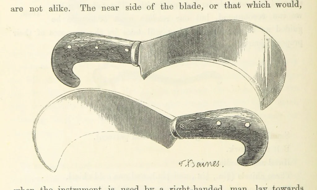 An illustration from Shifts and Expedients of Camp Life, Travels, etc, 1871, leaf 58