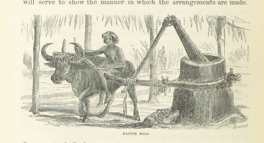 An illustration from Shifts and Expedients of Camp Life, Travels, etc, 1871, leaf 584