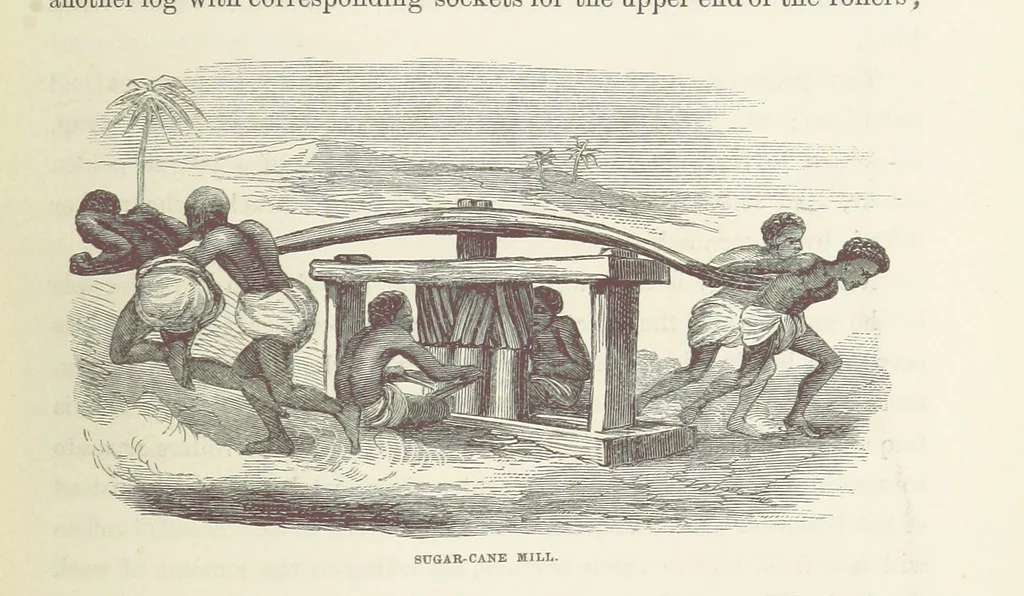 An illustration from Shifts and Expedients of Camp Life, Travels, etc, 1871, leaf 585