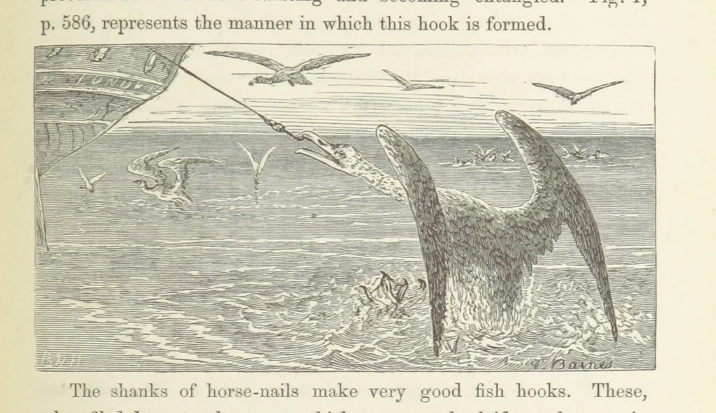 An illustration from Shifts and Expedients of Camp Life, Travels, etc, 1871, leaf 625