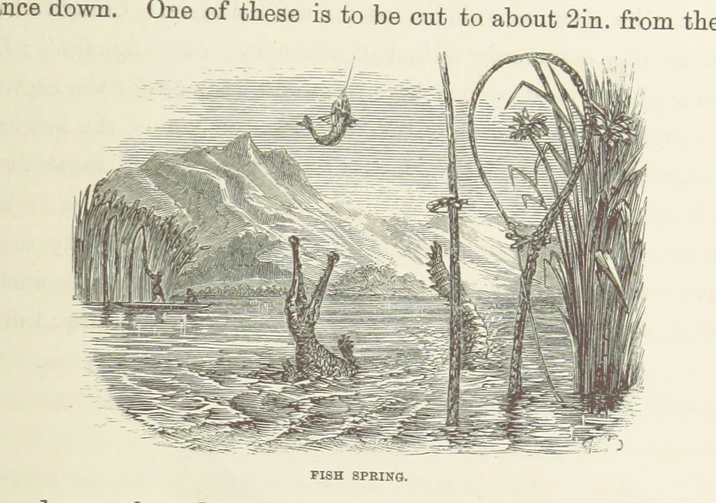An illustration from Shifts and Expedients of Camp Life, Travels, etc, 1871, leaf 629