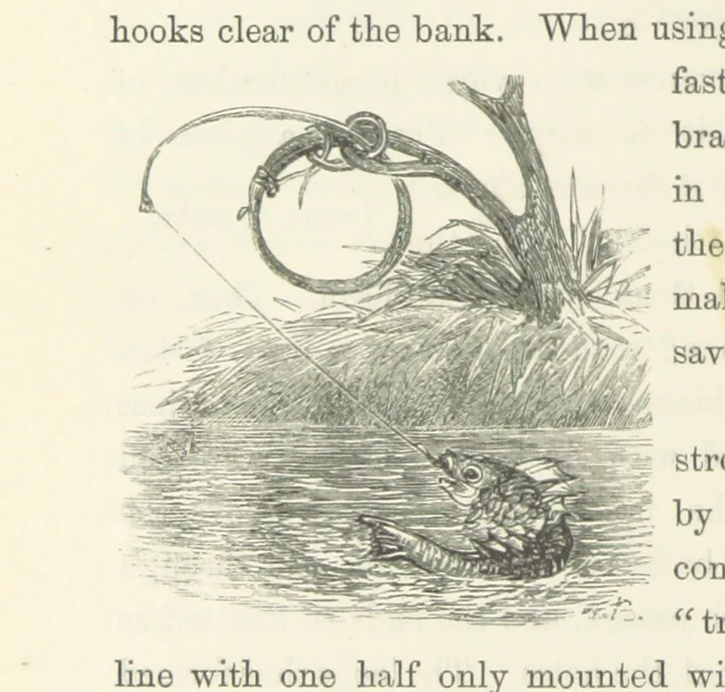 An illustration from Shifts and Expedients of Camp Life, Travels, etc, 1871, leaf 632