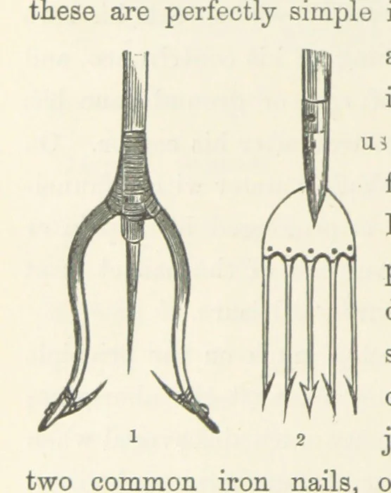 An illustration from Shifts and Expedients of Camp Life, Travels, etc, 1871, leaf 634