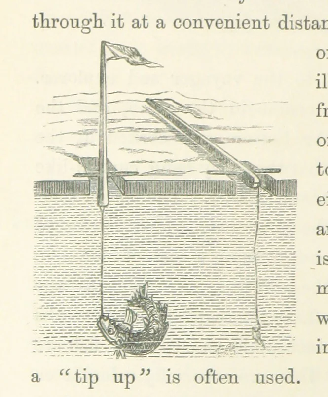 An illustration from Shifts and Expedients of Camp Life, Travels, etc, 1871, leaf 640
