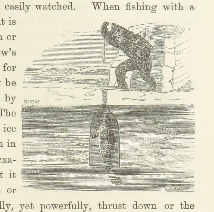 An illustration from Shifts and Expedients of Camp Life, Travels, etc, 1871, leaf 641