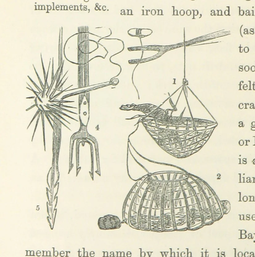 An illustration from Shifts and Expedients of Camp Life, Travels, etc, 1871, leaf 642