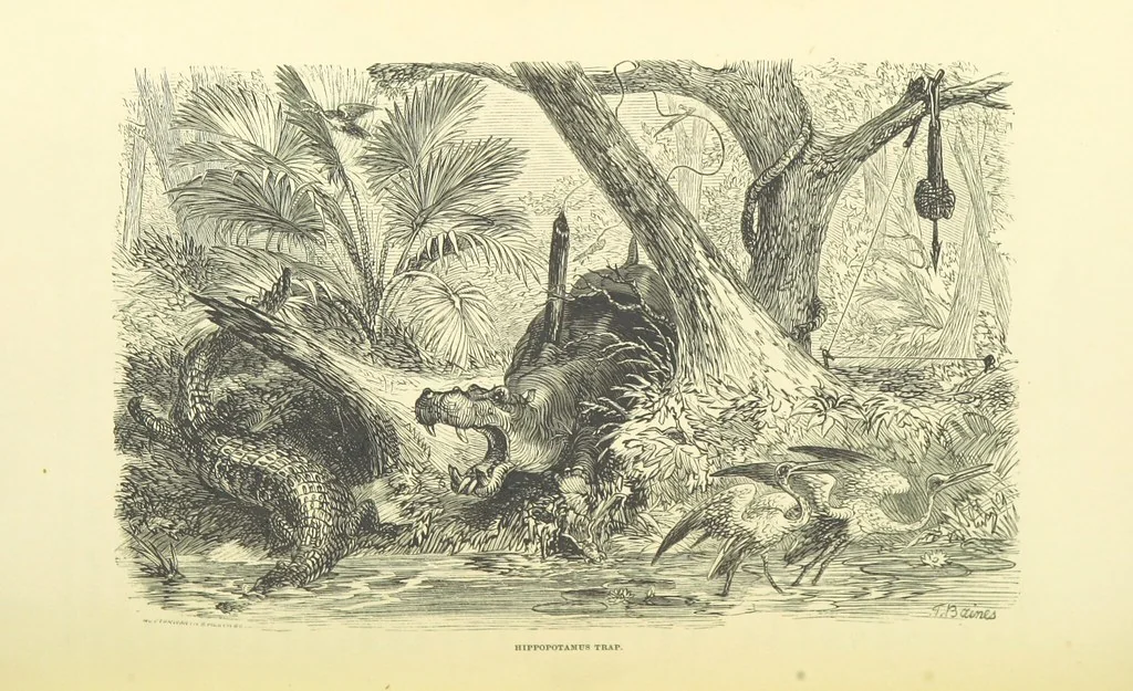 An illustration from Shifts and Expedients of Camp Life, Travels, etc, 1871, leaf 652