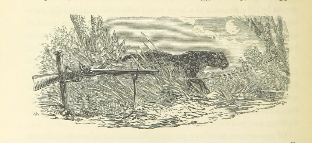 An illustration from Shifts and Expedients of Camp Life, Travels, etc, 1871, leaf 696