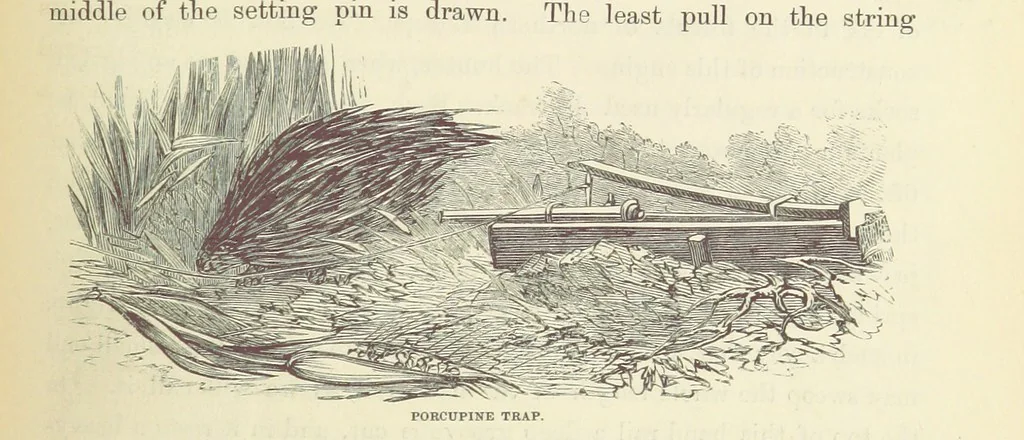 An illustration from Shifts and Expedients of Camp Life, Travels, etc, 1871, leaf 697