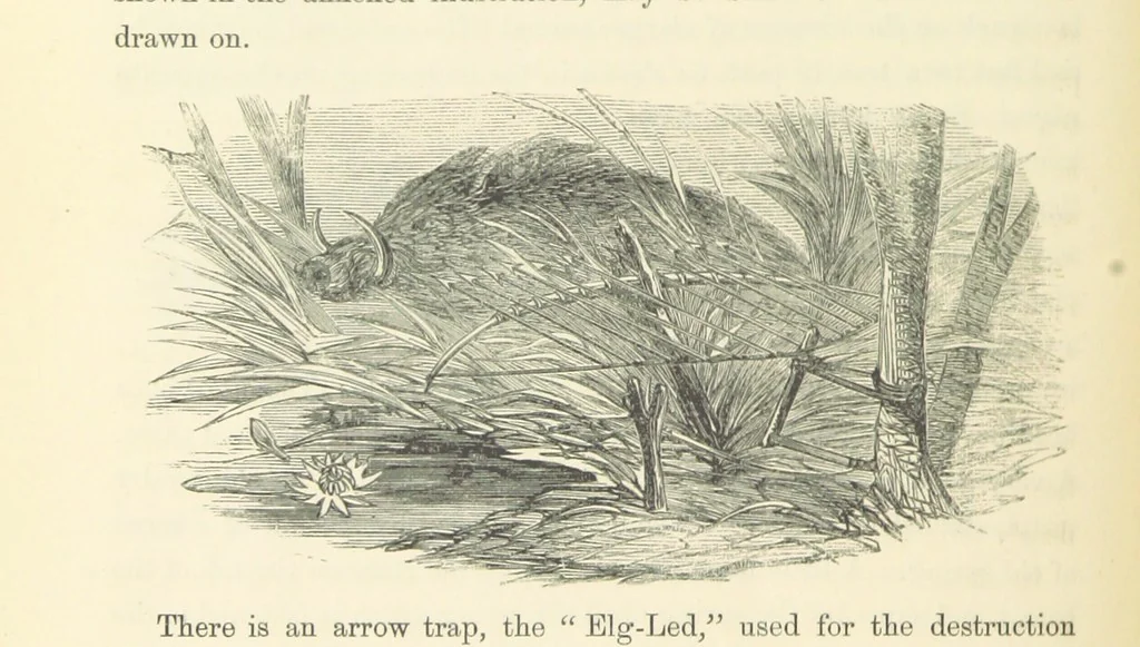 An illustration from Shifts and Expedients of Camp Life, Travels, etc, 1871, leaf 698