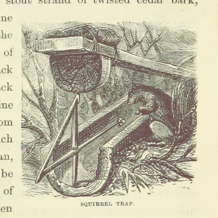 An illustration from Shifts and Expedients of Camp Life, Travels, etc, 1871, leaf 703