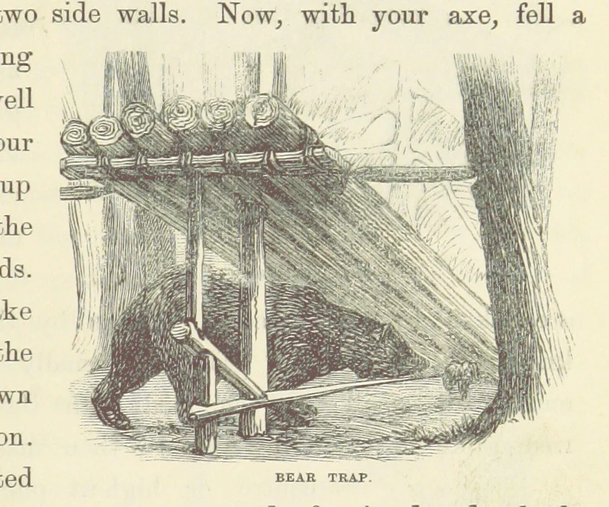 An illustration from Shifts and Expedients of Camp Life, Travels, etc, 1871, leaf 703