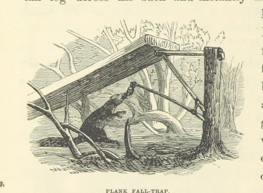 An illustration from Shifts and Expedients of Camp Life, Travels, etc, 1871, leaf 704