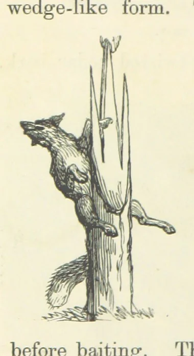 An illustration from Shifts and Expedients of Camp Life, Travels, etc, 1871, leaf 704