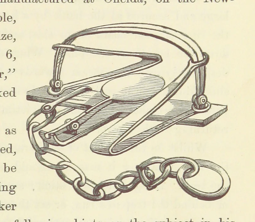 An illustration from Shifts and Expedients of Camp Life, Travels, etc, 1871, leaf 705