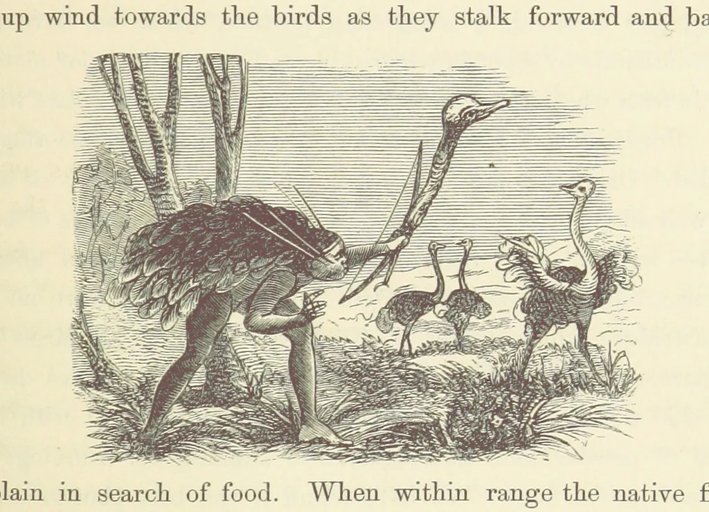 An illustration from Shifts and Expedients of Camp Life, Travels, etc, 1871, leaf 709