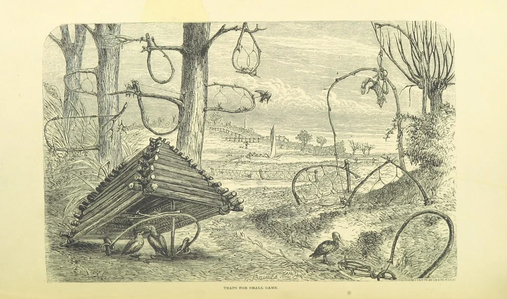 An illustration from Shifts and Expedients of Camp Life, Travels, etc, 1871, leaf 714