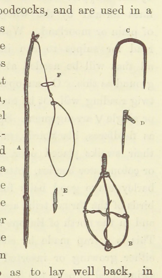 An illustration from Shifts and Expedients of Camp Life, Travels, etc, 1871, leaf 715