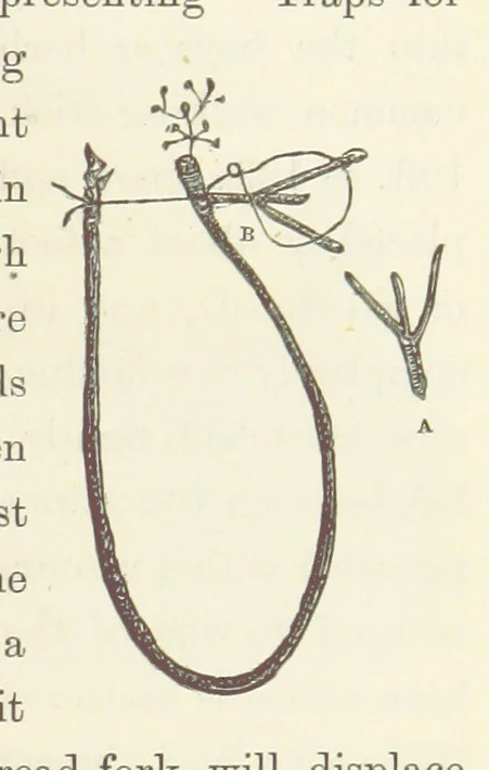 An illustration from Shifts and Expedients of Camp Life, Travels, etc, 1871, leaf 717