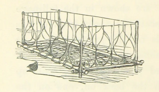 An illustration from Shifts and Expedients of Camp Life, Travels, etc, 1871, leaf 718