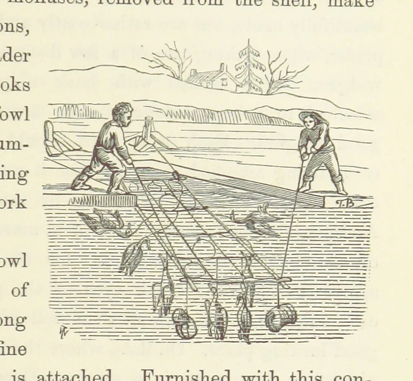 An illustration from Shifts and Expedients of Camp Life, Travels, etc, 1871, leaf 719