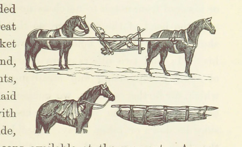 An illustration from Shifts and Expedients of Camp Life, Travels, etc, 1871, leaf 729