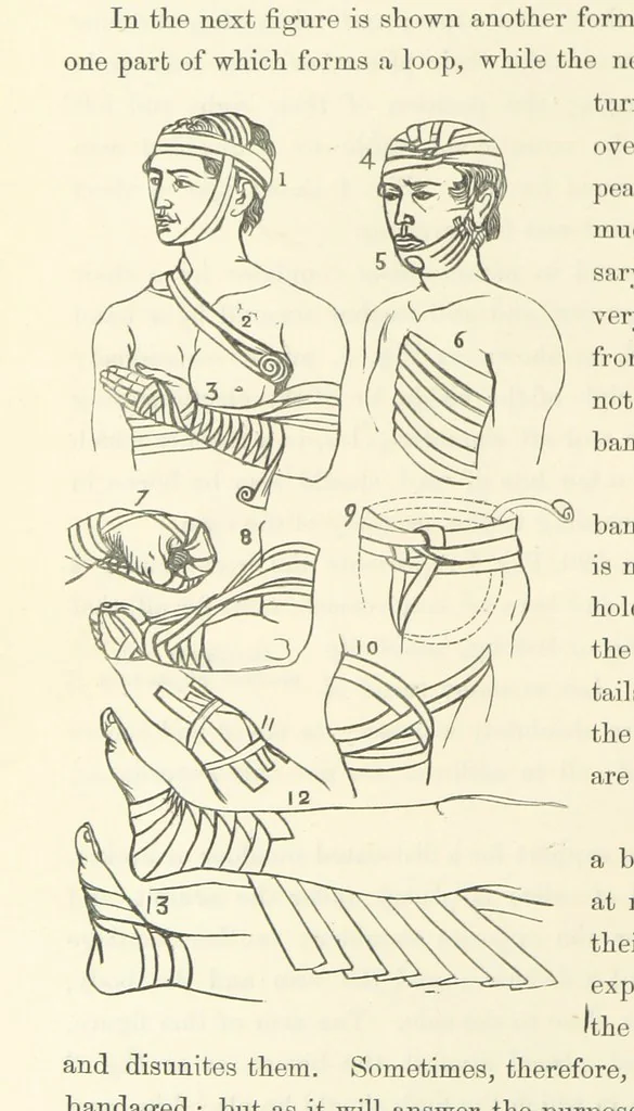 An illustration from Shifts and Expedients of Camp Life, Travels, etc, 1871, leaf 734