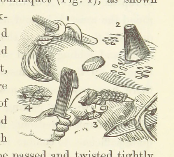 An illustration from Shifts and Expedients of Camp Life, Travels, etc, 1871, leaf 739