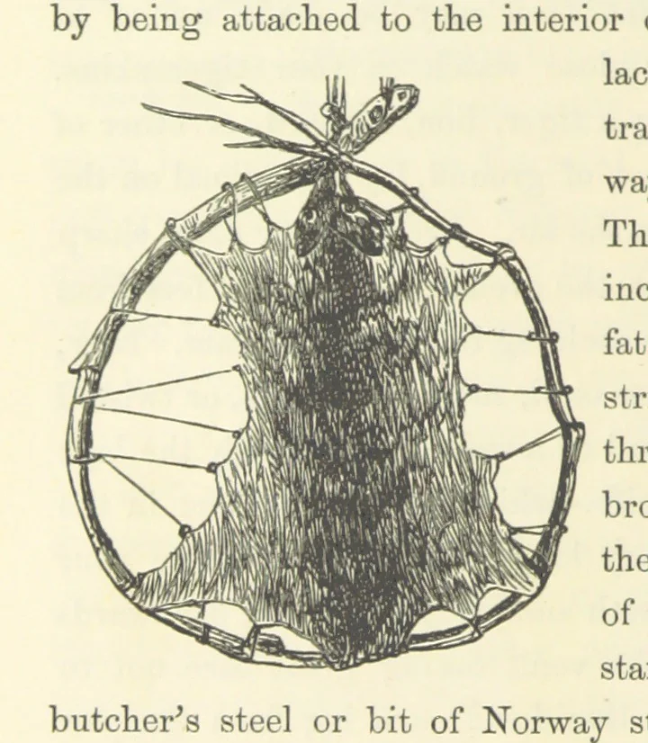 An illustration from Shifts and Expedients of Camp Life, Travels, etc, 1871, leaf 820