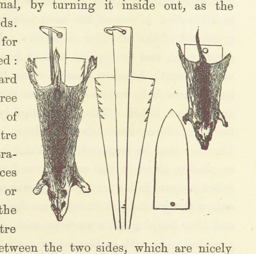 An illustration from Shifts and Expedients of Camp Life, Travels, etc, 1871, leaf 821