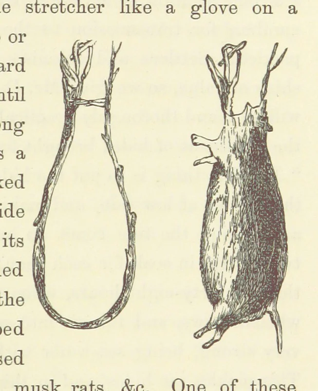 An illustration from Shifts and Expedients of Camp Life, Travels, etc, 1871, leaf 821