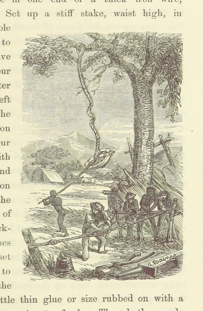 An illustration from Shifts and Expedients of Camp Life, Travels, etc, 1871, leaf 835