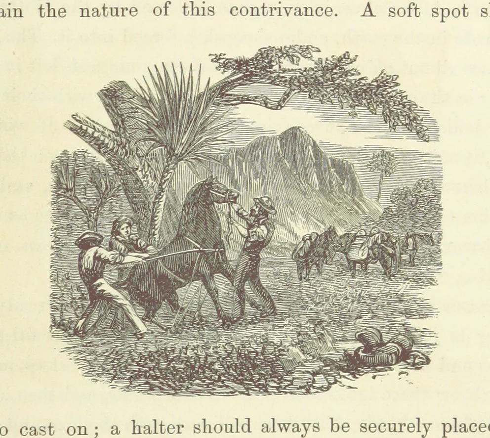 An illustration from Shifts and Expedients of Camp Life, Travels, etc, 1871, leaf 845