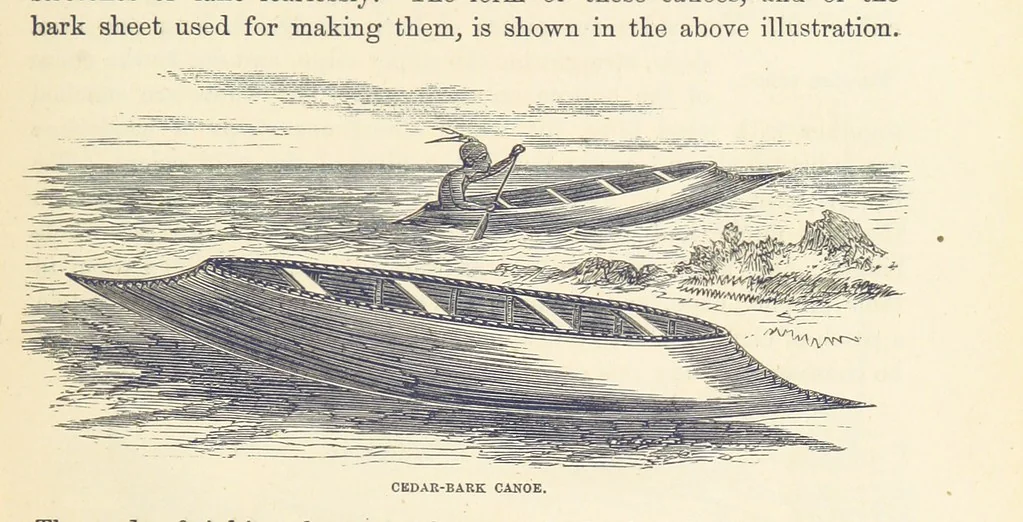 An illustration from Shifts and Expedients of Camp Life, Travels, etc, 1876, leaf 161