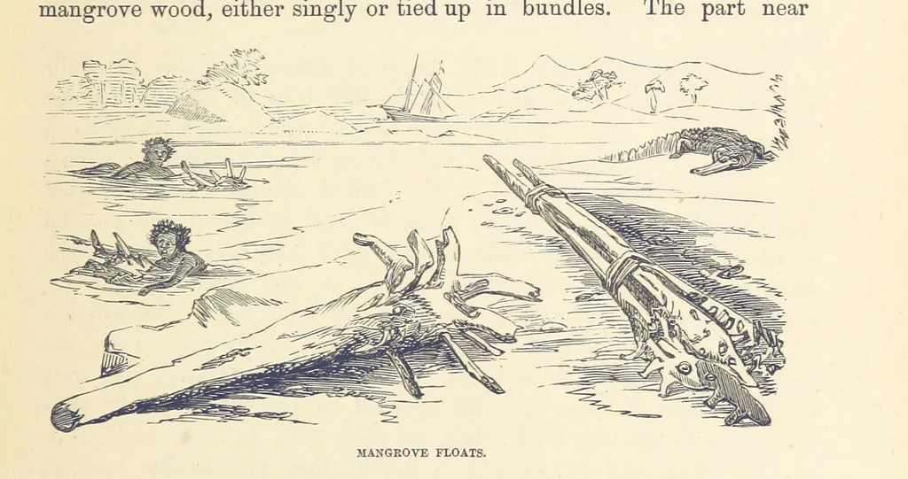 An illustration from Shifts and Expedients of Camp Life, Travels, etc, 1876, leaf 163