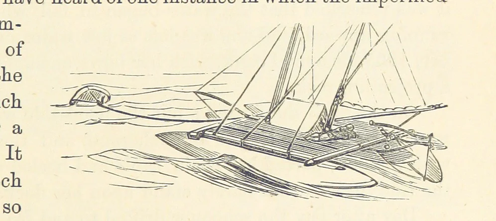 An illustration from Shifts and Expedients of Camp Life, Travels, etc, 1876, leaf 167