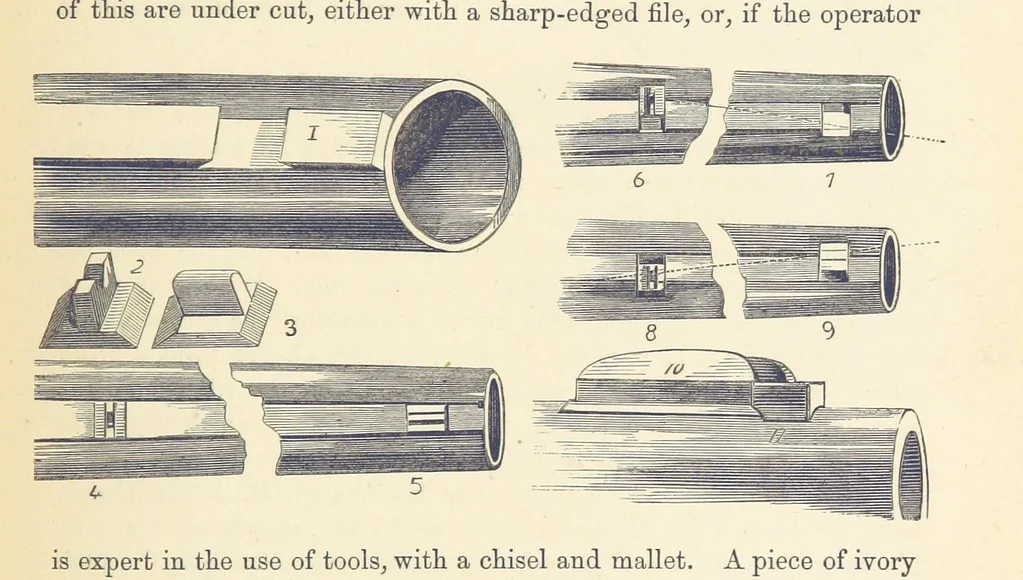 An illustration from Shifts and Expedients of Camp Life, Travels, etc, 1876, leaf 197