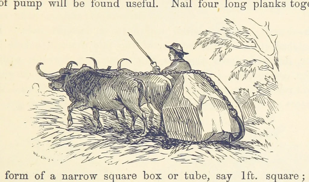 An illustration from Shifts and Expedients of Camp Life, Travels, etc, 1876, leaf 259