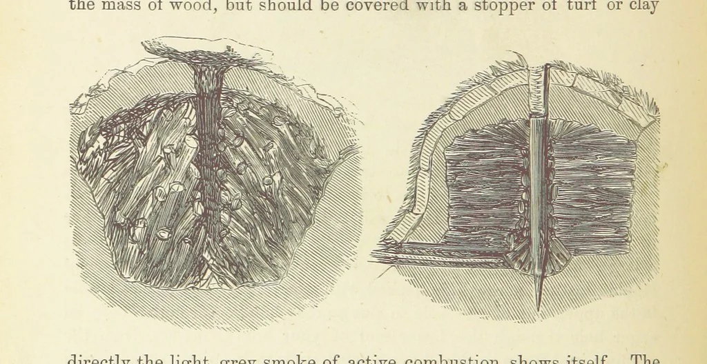 An illustration from Shifts and Expedients of Camp Life, Travels, etc, 1876, leaf 260