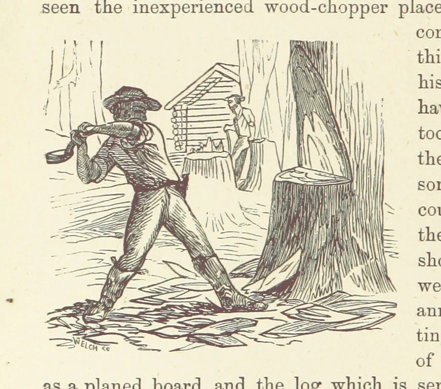 An illustration from Shifts and Expedients of Camp Life, Travels, etc, 1876, leaf 262