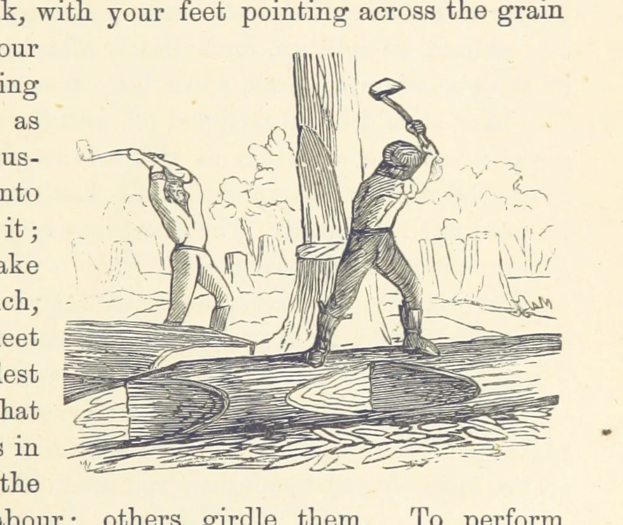 An illustration from Shifts and Expedients of Camp Life, Travels, etc, 1876, leaf 263